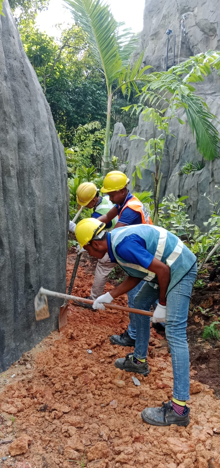 Landscaping - Progress